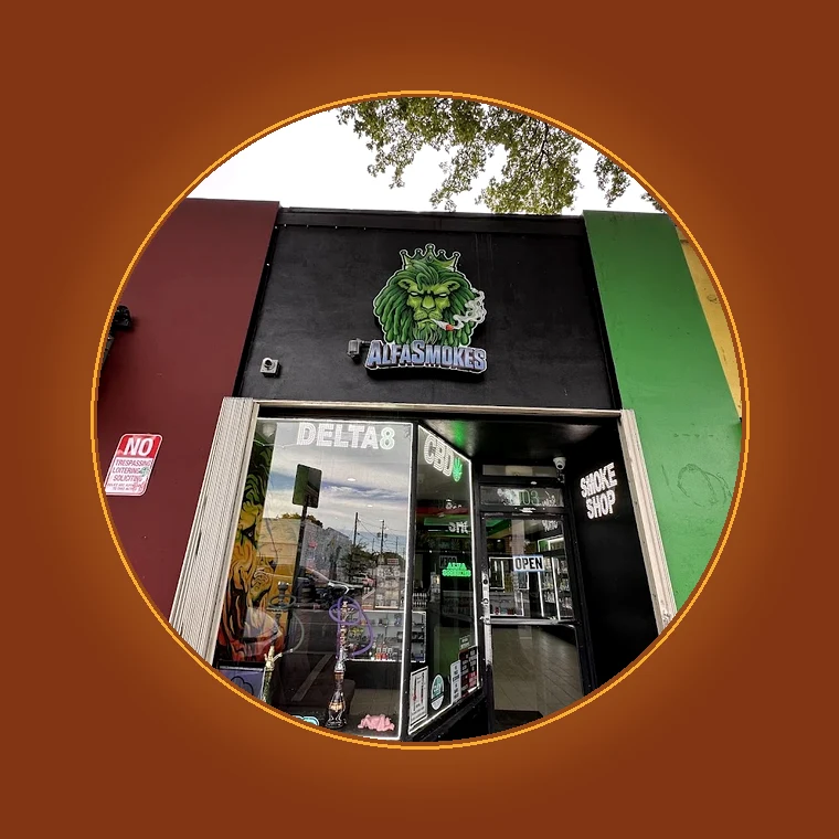 Hand-rolled cigars and humidor selection at Alfa Smokes on Calle Ocho